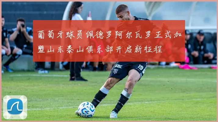 葡萄牙球员佩德罗阿尔瓦罗正式加盟山东泰山俱乐部开启新征程