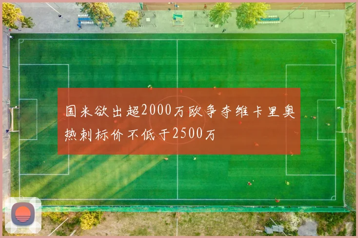 国米欲出超2000万欧争夺维卡里奥热刺标价不低于2500万