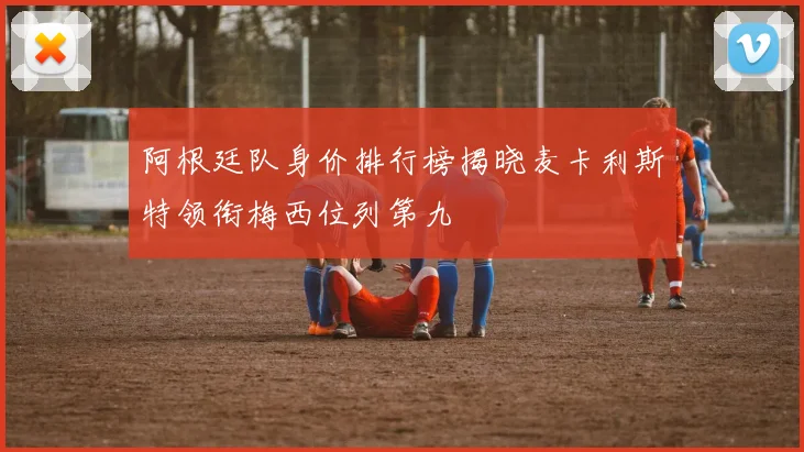 阿根廷队身价排行榜揭晓麦卡利斯特领衔梅西位列第九