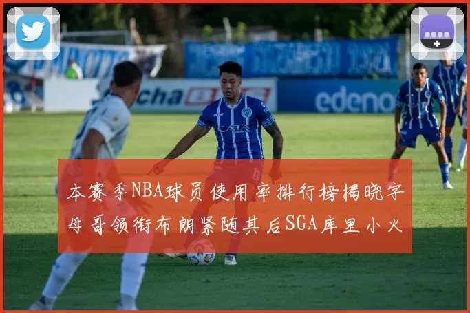 本赛季NBA球员使用率排行榜揭晓字母哥领衔布朗紧随其后SGA库里小火车紧追不舍