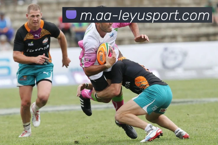 乐鱼体育APP 高清赛事图